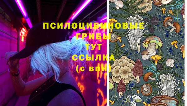 не бодяженный Лагань