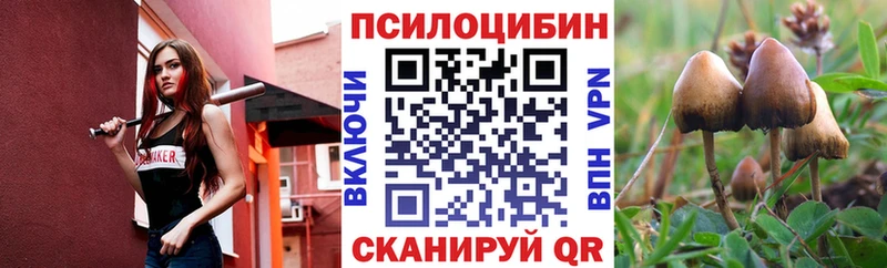 Купить Бикин Галлюциногенные грибы Psilocybine cubensis