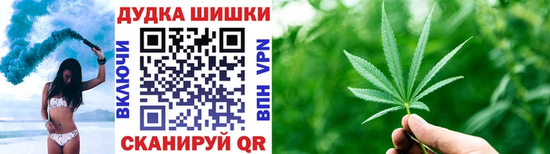 Купить где  Бикин  Канабис сатива 